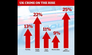 UK Crime rise graphic.jpg