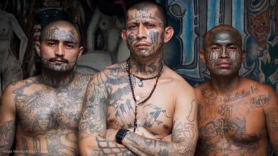 gang-illegals-678x381